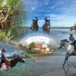 Hack Farm Collage