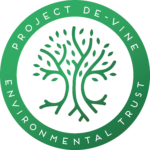 Projet De vine