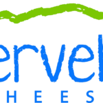 Logo color