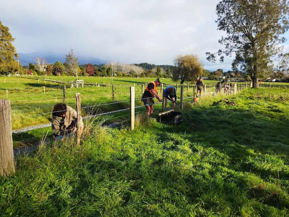 503846994 1290525925838751 5313251909048152638 n