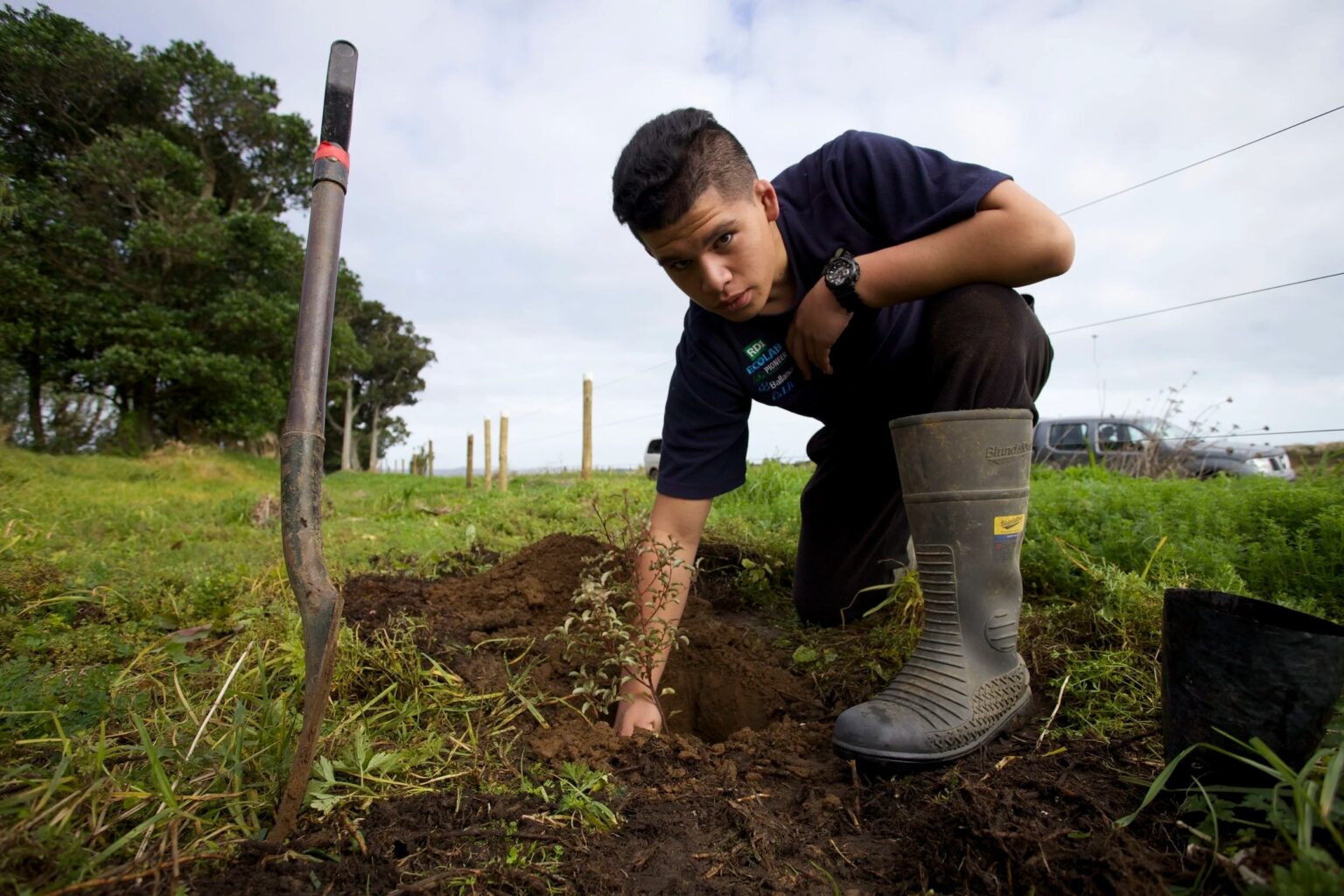 imgi 30 image asset1